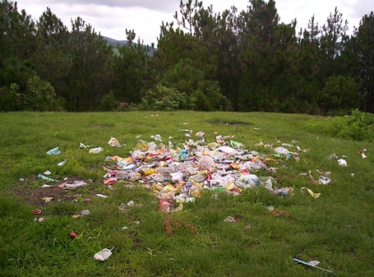 garbage-in-nature