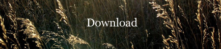 wt-download